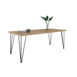 Aline Τραπέζι τραπ/ρίας Ίρις μεταλλ. πόδι 11422007 200 x 100 cm